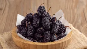 桑葚两种搭配巧解脱发难题，平民圣品的养发之道