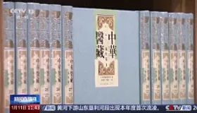 <中华医藏>：中医药古籍整理的宏大工程，传承千年医学智慧