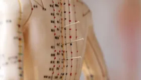 必知！人体八大关键穴位，开启中医养生保健密码