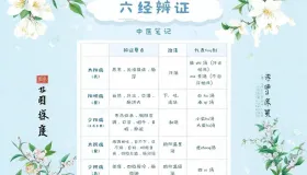 破解张仲景 “六经” 密码：别让误读耽误病情，探寻中医辨证真谛