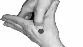 一文读懂人体最重要 12 大穴位，养生保健全攻略！