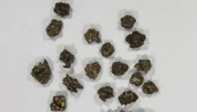 理性应对结节：中医药散结之道与常用药物食疗推荐