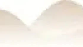 2 味药巧治脱发，根源竟在气血虚血热！