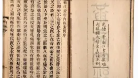 中医学理论：恒久品格与时代创新的交融，探寻独特医学智慧