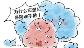 中医解读：痰湿蕴肺致脱发，祛湿健脾重拾浓密乌发 —— 陆先生的脱发康复案例