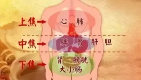 三焦不通致脱发？内调外养双管齐下，重焕乌黑浓密秀发