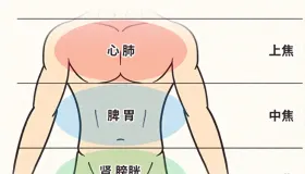 当代脱发新解：中焦淤堵是主因，1 个生发汤助你逆袭