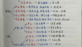 老中医珍藏手写笔记大公开！涵盖便秘、腰痛等多类病症辨证治法