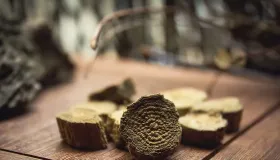 别把 “珍宝” 当 “废草”：5 种被低估中药材的逆袭之路