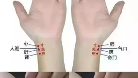 中医把脉大揭秘：手腕轻按知病症，5 大要素全解析！
