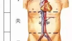 别再觉得中医把脉玄乎！一文读懂把脉原理及获取信息，解开你的困惑