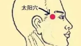 必知穴位图解及详细功效作用大揭秘！从太阳穴到照海穴一文全掌握