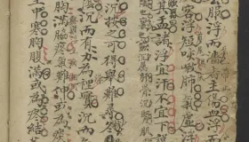 中医古籍分享：《 [脈藥]手抄本 》