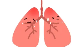 从《内经》探析风邪理论