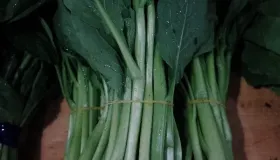 天津冬菜10种吃法