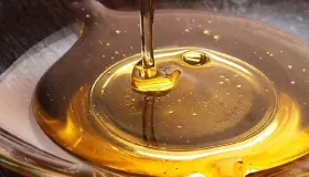 秋梨膏是凉性还是热性 秋梨膏去火还是上火