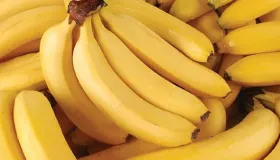 听说香蕉和红薯一起吃会中毒
