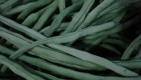 鲜豆角的储存方法