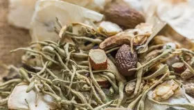 鲜黄花菜怎么去除毒素