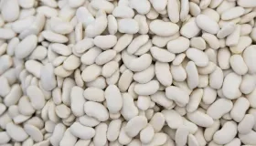 豆类食品吃多了会怎样