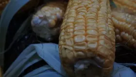 玉米怎么保存最好