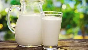 伊利纯牛奶可以煮沸吗