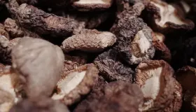 香菇焯水后可以放冰箱冷藏吗