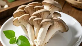 请问蘑菇怎么保存它才会新鲜