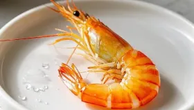 沙虾是海虾还是河虾