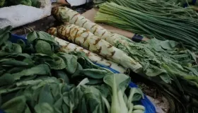豆类蔬菜有哪些营养