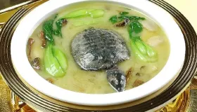 鳖甲与甲鱼有什么区别