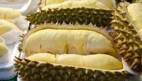 榴莲螃蟹能一起吃吗