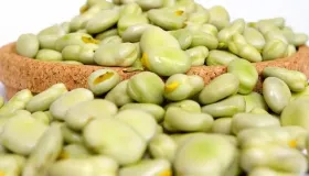 什么人不能吃蚕豆 小心患上蚕豆病
