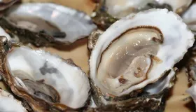生牡蛎的功效与作用
