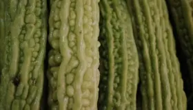 苦瓜怎么去苦味儿