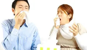 鸽子打喷嚏是怎么回事