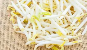 豆芽含有什么营养成分