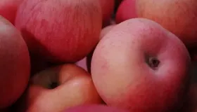 苹果手机来电铃声不响是什么原因
