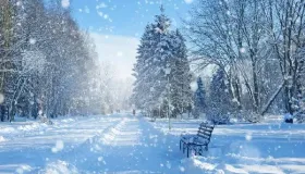 自制雪糕店豆豆本