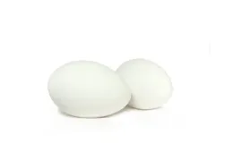 蛋白粉对人体的作用和功能是什么
