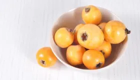 枇杷是上火的还是去火的 枇杷是生吃止咳还是炖的止咳