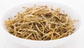 金银花泡水喝的功效