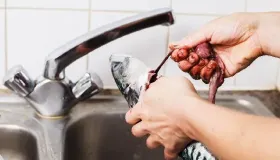 黔鱼怎么做好吃又简单
