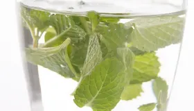 薄荷叶三种人不宜吃