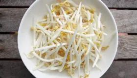 豆芽的芽是根还是茎