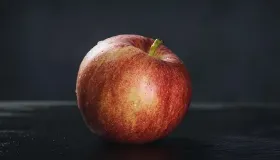 苹果煮水晚上喝还是早上喝