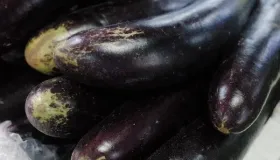豆腐和茄子可以一起吃吗