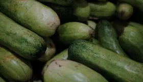 黄瓜跟什么榨汁最好
