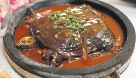 真假甲鱼怎么区分