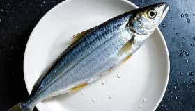野生土鲶鱼一斤多少元